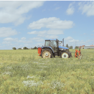 Capture d'écran 2025-05-23 103610
