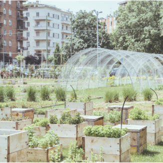 Capture d'écran 2025-05-23 103634